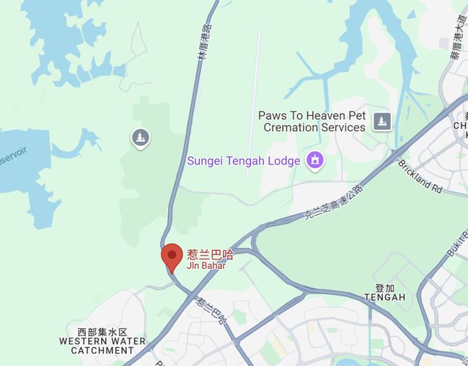 周日开始实施！事关全岛600万人j9国际新加坡28个新政补贴！这(图22)